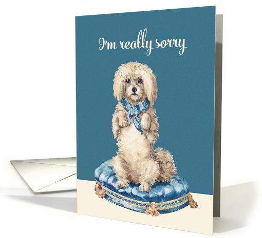 I'm really sorry, Vintage Dog on Blue Tufted Cushion card (1359888)