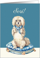 I’m sorry in Welsh, Sori, Vintage Dog on Blue Tufted Cushion card