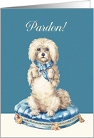 I’m sorry in Turkish, Pardon, Vintage Dog on Blue Tufted Cushion card