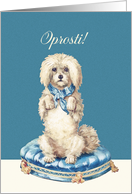 I’m sorry in Slovenian, Oprosti, Vintage Dog on Blue Tufted Cushion card