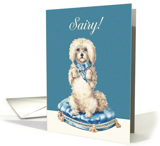 I'm sorry in Scots, Sairy, Vintage Dog on Blue Tufted Cushion card