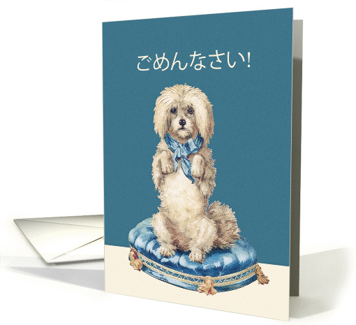 I'm sorry in Japanese, Sweet Vintage Dog card (1360706)