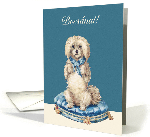 I'm sorry in Hungarian, Bocsnat, Sweet Vintage Dog card (1360822)