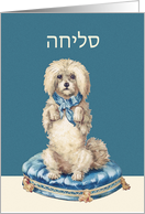 I’m sorry in Hebrew, Sweet Vintage Dog card