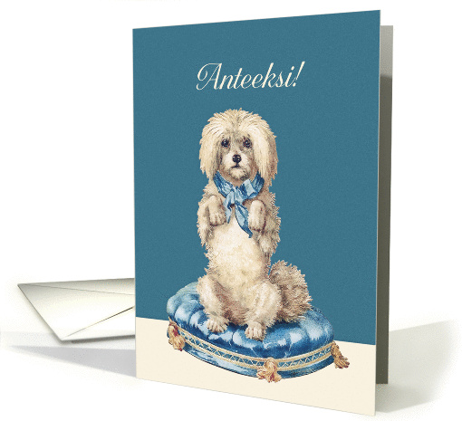 I'm sorry in Finnish, Anteeksi, Sweet Vintage Dog card (1360832)