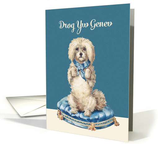 I'm sorry in Cornish, Drog Yw Genev, Sweet Vintage Dog card (1360842)