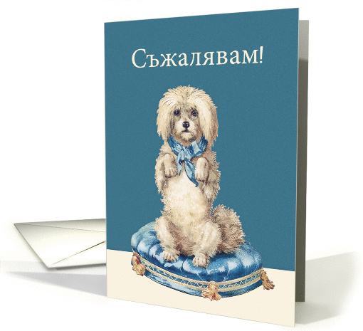 I'm sorry in Bulgarian, Sweet Vintage Dog card (1360844)