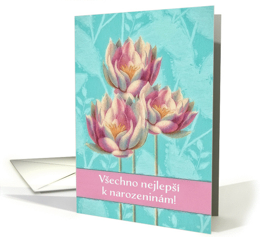 Happy Birthday in Czech, Water Lilies card (1366814)