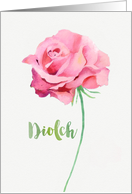 Thank you in Welsh, Diolch, Watercolor Pink Rose card