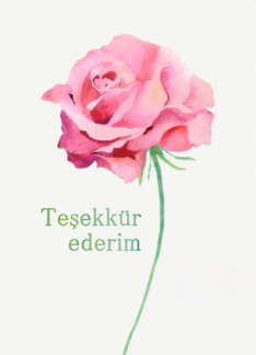 Thank you in Turkish, Watercolor Pink Rose