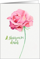 Thank you in Yiddish, A Sheynem Dank, Watercolor Pink Rose card