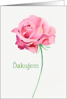 Thank you in Slovak, Watercolor Pink Rose card