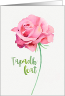 Thank you in Scottish Gaelic, Tapadh Leat, Watercolor Pink Rose card
