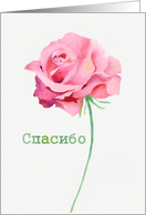 Thank you in Russian, Watercolor Pink Rose card
