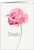 Thank you in Polish, Watercolor Pink Rose card