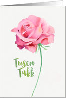 Thank you in Norwegian, Tusen Takk, Watercolor Pink Rose card