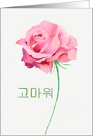 Thank you in Korean, Watercolor Pink Rose card