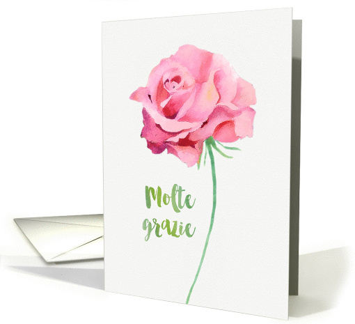 Thank you in Italian, Watercolor Pink Rose card (1382296)