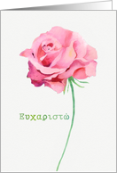 Thank you in Greek, Watercolor Pink Rose card