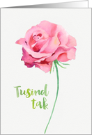 Thank you in Danish, Tusind Tak, Watercolor Pink Rose card