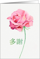 Thank you (for a Gift) in Chinese, Watercolor Pink Rose card