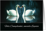 Happy Birthday to my dear Wife in Spanish, Two Swans card