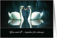 You and I, together for always, Two white Swans on a Lake card