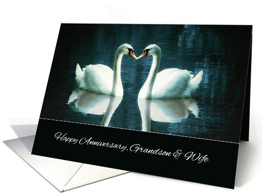 Happy Wedding Anniversary, Grandson and his Wife, Swans card (1388794)