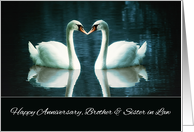 Happy Wedding Anniversary, Brother and Sister in Law, Swans card