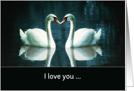 I love you, forever and ever, two Swans card