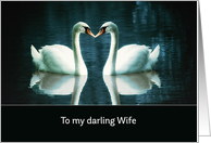 To my darling Wife, I love you, two Swans card