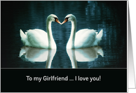 To my Girlfriend, I love you, two Swans card