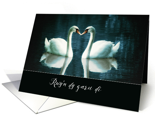 I love you in Welsh, Rwy'n dy garu di, two Swans card (1390424)