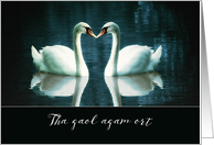I love you in Scottish Gaelic, Tha gaol agam ort, two Swans card