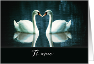 I love you in Italian, Ti amo, two Swans card