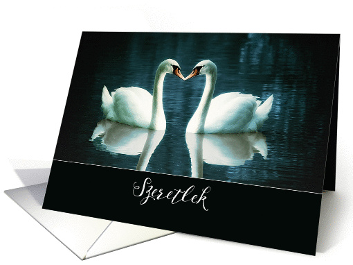 I love you in Hungarian, Szeretlek, two Swans card (1390448)