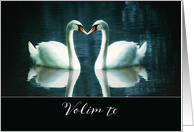 I love you in Croatian, Volim te, two Swans card