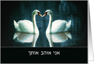 I love you in Hebrew...