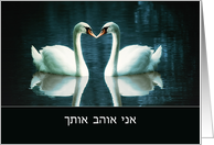 I love you in Hebrew, Male adressing a Female, two Swans card