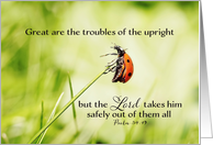 Psalm 34:19, Christian Encouragement, Ladybug hanging on for dear Life card