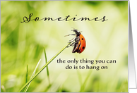 Hang on, Encouragement, Ladybug hanging on for dear Life card