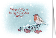 Customizable Christmas Card, Robin, Berries, Painting card