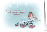 Customizable Christmas Card, Robin, Berries, Painting card