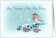 Merry Christmas in Spanish, Feliz Navidad, Robin, Berries, Painting card