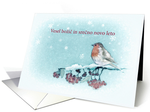 Merry Christmas in Slovenian, Robin, Berries, Painting card (1399606)