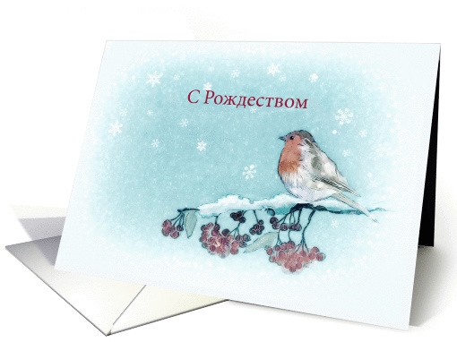 Merry Christmas in Russian, Robin, Berries, Painting card (1399610)