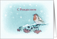 Merry Christmas in Russian, Robin, Berries, Painting card