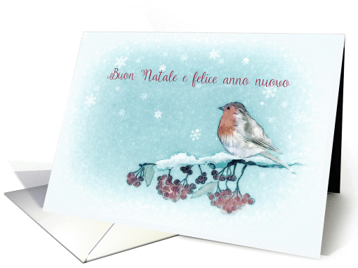 Merry Christmas in Italian, Buon Natale, Robin, Berries, Painting card