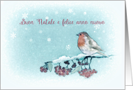 Merry Christmas in Italian, Buon Natale, Robin, Berries, Painting card
