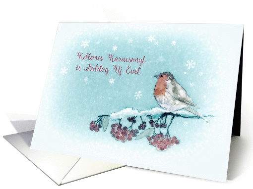 Merry Christmas in Hungarian, Robin, Berries, Painting card (1399748)